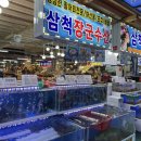 삼척횟집 네이버블로그