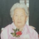 박정술 Daum카페