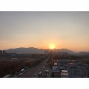 플라플로 (PLFL) 이미지