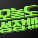 노아노마드