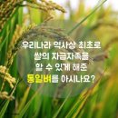 12월 2일(목) 녹색혁명의 주역 '통일벼' 이야기 이미지