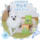 펫노우 | [강아지 유산균]"펫노우"식물성 유산균 락토멍 후기#