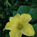 교산농장 이미지