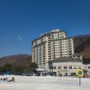 엘스위트 강촌콘도 이미지