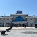 금호강영천 티스토리