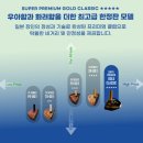 스타게임파크 | 익산 골프샵 혼마 5스타 한정판 파크골프채 구매 후기