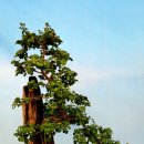 신정행정사 사무소 이미지