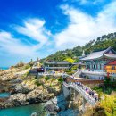 해동축산 이미지