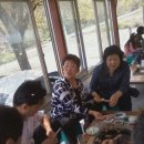 두환농장 이미지