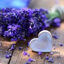 아로마 마사지 이미지