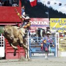 정월대보름행사 이미지