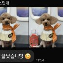 정직유부 광주첨단점 네이버블로그