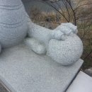 용전교 Daum카페