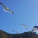 거해통상 네이버블로그
