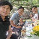 토함산자연휴양림 이미지