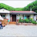 밤나무계곡민박 이미지