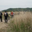 충주고구려비전시관 이미지