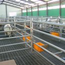 유가농장 이미지