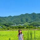 재래식손두부 | 아이와 강원도 양구 여름휴가 ㅣ 양지말뫼막국수·재래식손두부 맛집 후기