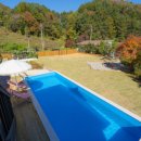 펜션 숲 이미지