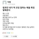 코딩 실력 평가 척도 이미지