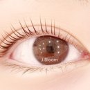 블룸아카데미 이미지