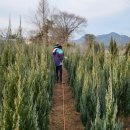 응애농원 이미지