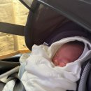 (주)더케어 산후조리원 | 수원 더케어 산후조리원 후기