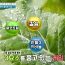 케일-시금치 자주 먹었더니 이미지