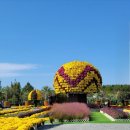 몽산포오페라하우스 이미지