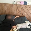 봉추한의원 | 여름일기2