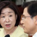 심상정 카카오 검색결과