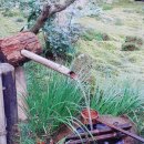 그린민박 이미지