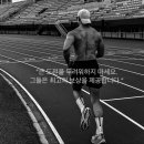 종합격투기하야로비