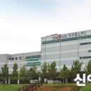 도드람엘피씨공사 이미지