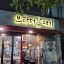 브라더갈매기