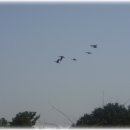 장천초등학교 이미지