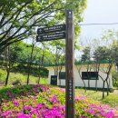 미사뚝방산책로 | 경기도 여행 하남 가볼만한곳 미사 뚝방꽃길 당정뜰 산책로 걷기좋은길