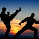 호국태권도체육관 이미지