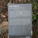 유달산 미륵불 암각 이미지