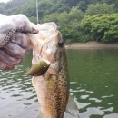 고남저수지 이미지