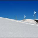 삼양목장 이미지