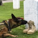 다가온동물병원 이미지