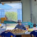 달콤한 사과이야기 이미지