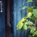 용산-242 이미지