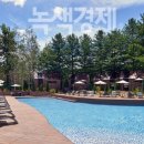 스테이 피크닉 이미지