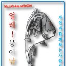 지난주말 영상조행기 - 경남 하동 군계일학 4짜 이미지