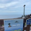 스테이 섬씽 울릉도 | 울릉도 바비큐 펜션 숙소 스테이섬씽 내돈내산 솔직 후기