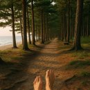 도곡1리 이미지