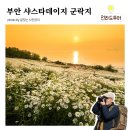 부안변산마실길 | 부안 5월 가볼만한곳 변산마실길, 샤스타데이지 서해 배경 노을명소